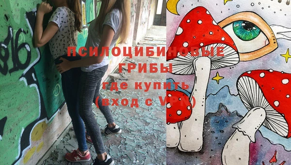каннабис Алзамай