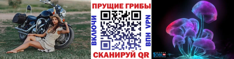 Галлюциногенные грибы мухоморы  Катайск 
