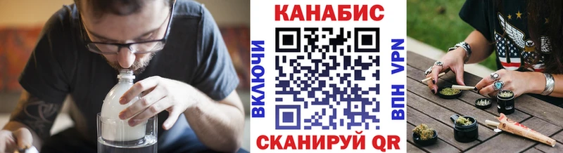 Канабис сатива  Катайск 